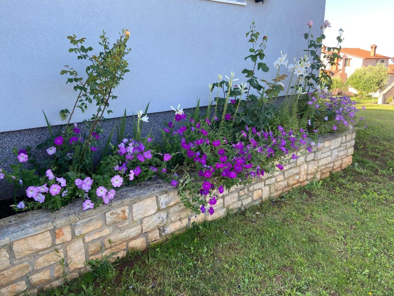 Holiday Home Mihaela Visnjan Exterior photo