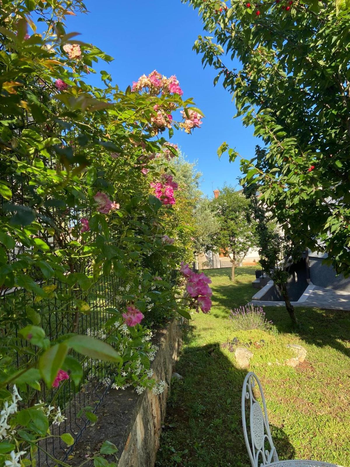 Holiday Home Mihaela Visnjan Exterior photo